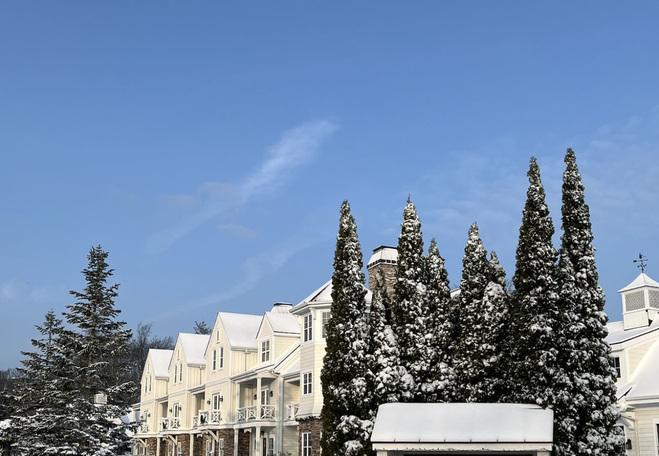 Townhouse in Holland - The Bridgeport Luxury Townhome, Pool, Hot Tub, Golf Membership,  Near Lake and Beaches